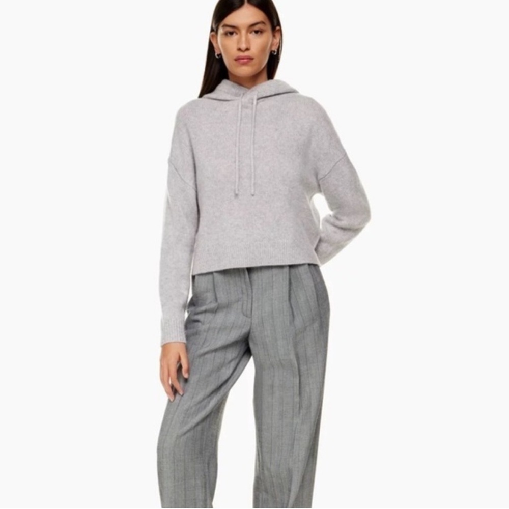 Aritzia The Group by Babaton Luxe Cashmere Hoodie